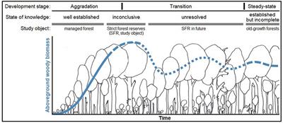 Strict forest protection: A meaningful contribution to Climate-Smart Forestry? An evaluation of temporal trends in the carbon balance of unmanaged forests in Germany